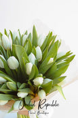 Tulip Desire White