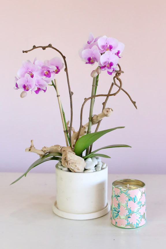 Pink Orchid Duo