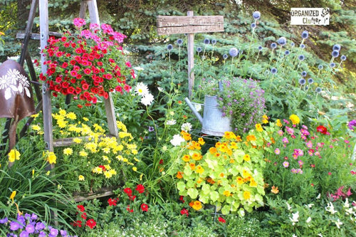 LOOK: Inspiring “Junk Garden” Made Of Recyclable Materials