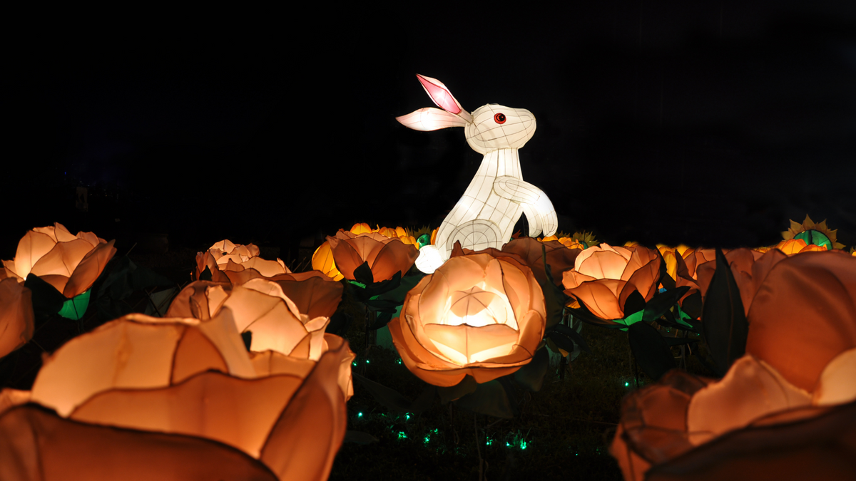 8 Fall Festivals Around the World – Orchid Republic Floral Boutique