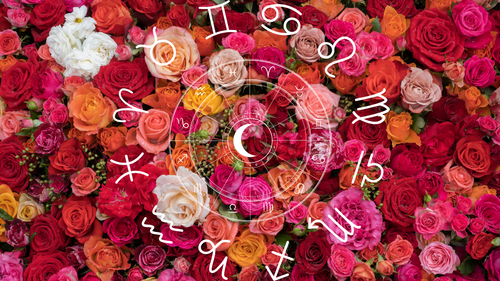 What's Your Zodiac Birth Flower?