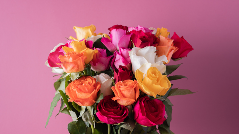 What Color Roses For Congratulations