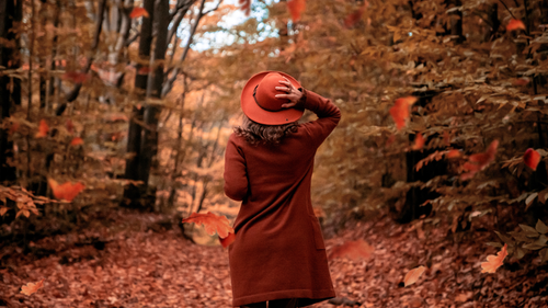 Best Spots to See Enchanting Fall Foliage in the US