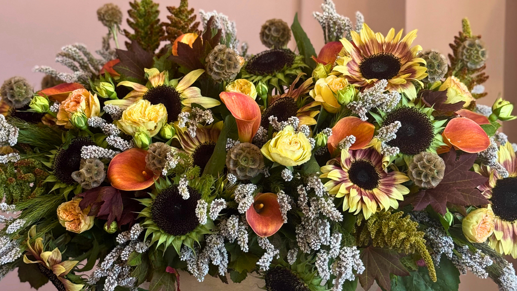 8 Flowers That Symbolize Hope