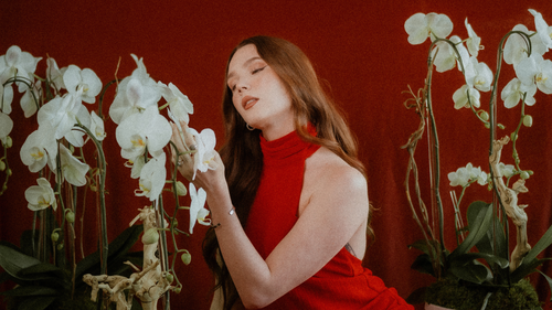 Why Orchids Are the Ultimate Luxury Gift