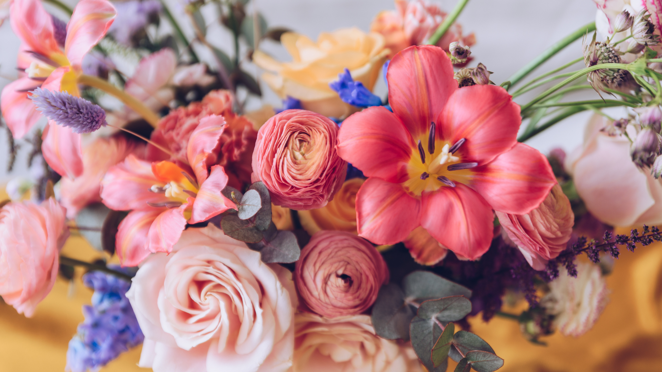 6 of the Most Gorgeous Spring Flowers From Around the World – Orchid ...