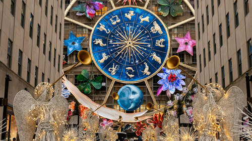 Zodiac-Inspired Christmas Flowers: The Perfect Gift for Every Sign