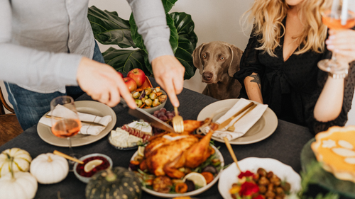 Host Like a Pro: Tips for First-Time Thanksgiving Gathering Hosts