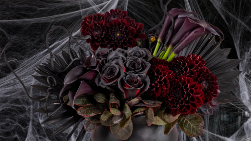 Spellbinding Decor Ideas for Your Halloween Soirée