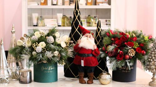 Chic Christmas Flowers and Their Meanings