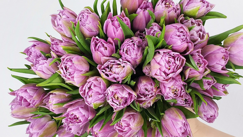 What Is Floriography? Decoding the Language of Flowers 