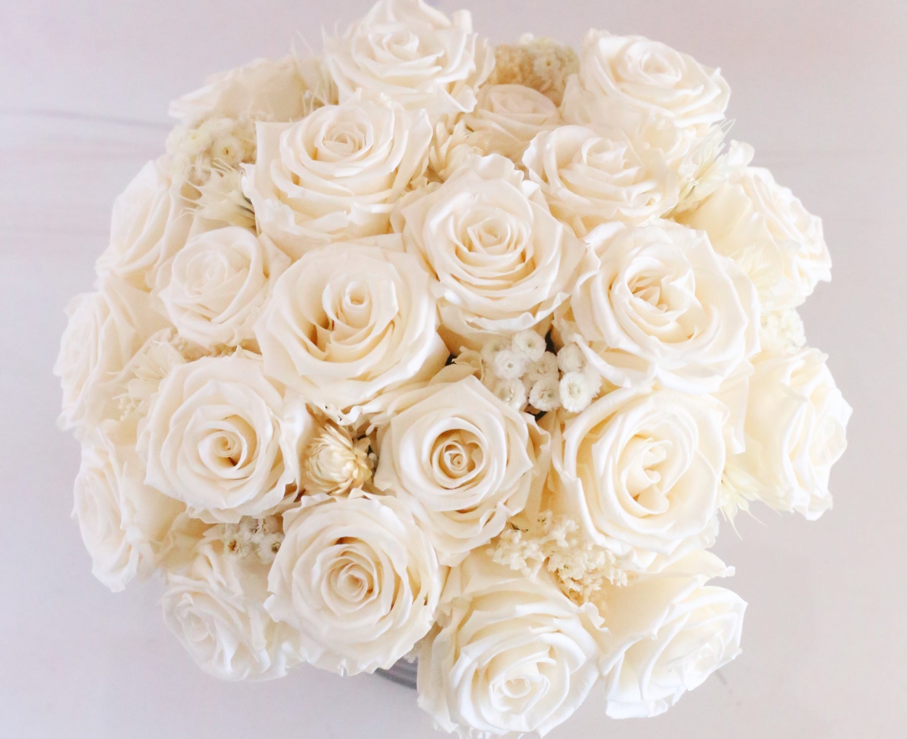 Forever Flowers Beautiful Blooms That Last for Years Orchid Republic