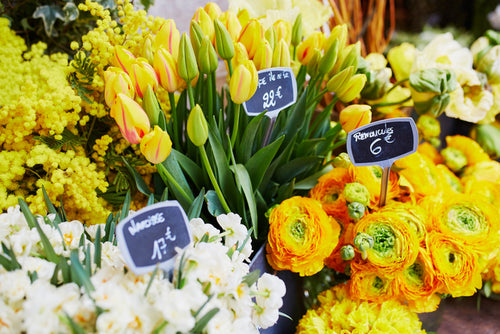10 Best Selling Flowers of All Time