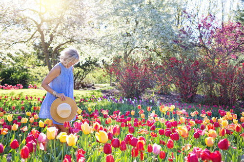 Mothers-Day| Flower Gardens to See with Mom