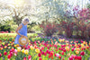 Must-See Flower Gardens for Mother's Day Trip