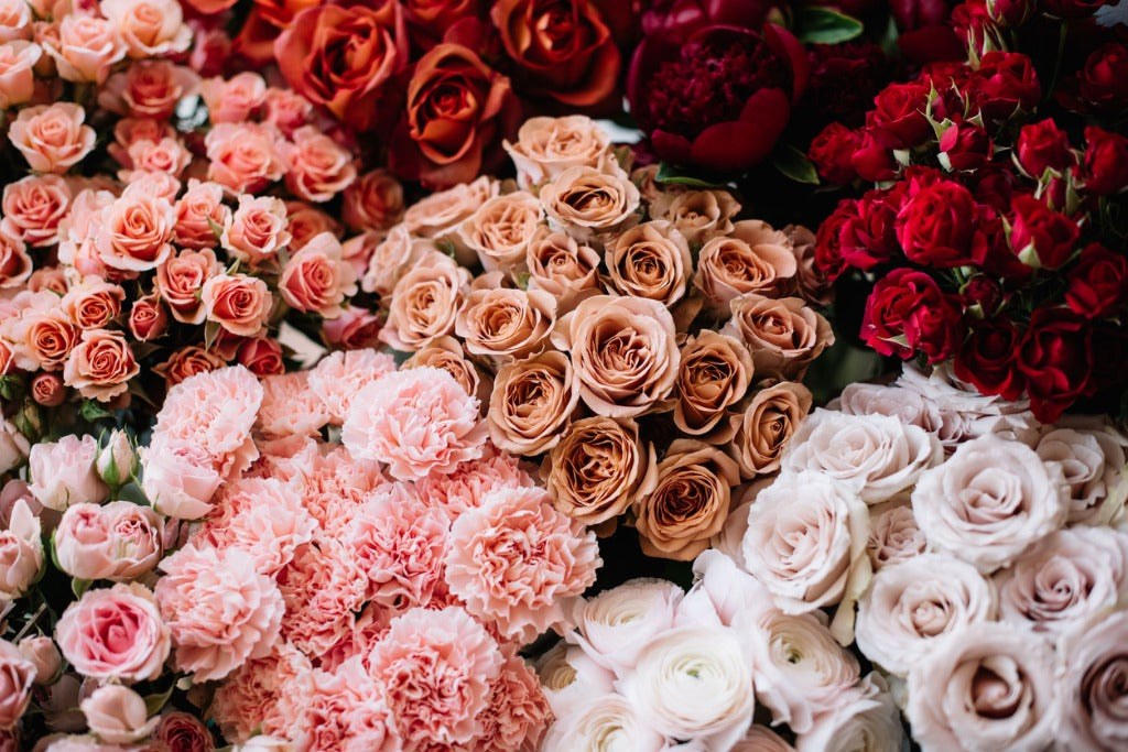 The Most Beautiful Types of Roses You'll Ever See – Orchid Republic Floral Boutique