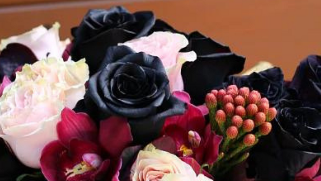 Are Black Roses Bad