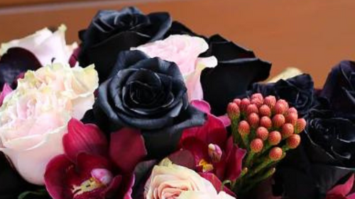 Do Black Roses Exist?