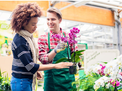 Orchid Care: What's the Best Potting Medium for My Orchid Plant?