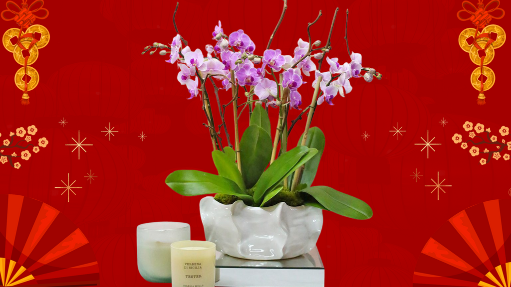 The Luckiest Flowers for Chinese New Year