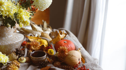 Yellow chrysanthemums with mini pumpkins, acorns, and pinecones on a blanket 