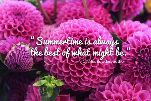 14 Summer Quotes That Are as Beautiful as the Season