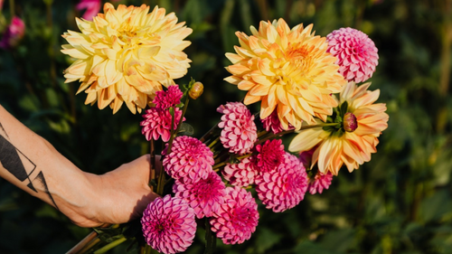 SPF for Flowers? Here's How to Make Your Summer Bouquets Last Longer 