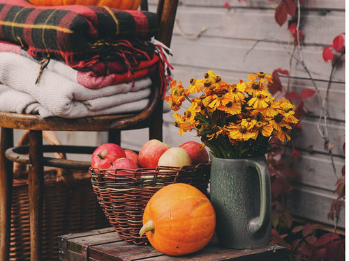 fall-season-flowers