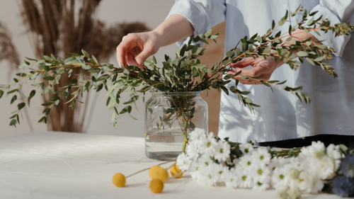 cut flowers