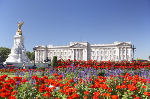 10 Favorite Flowers of The Royals