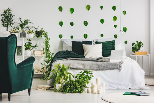 The Benefits Of Sleep You Can Get From Houseplants