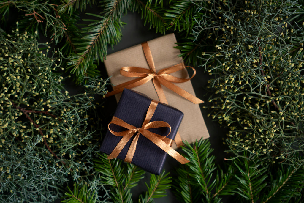 Beautiful Christmas Gift Ideas Under $99 That Doesn’t Break The Bank