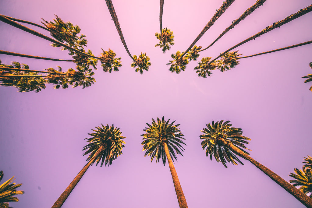 5 Amazing Things You Can Do in Los Angeles This Spring