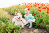 10 Pet-Friendly Flowers That Are Safe Around Your Cats and Dogs