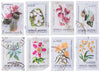 Indonesia Releases Stunning Orchid Stamps