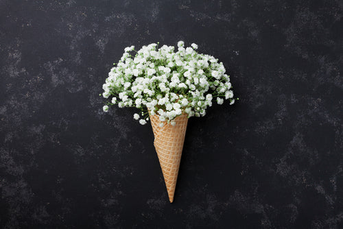 filler-flower-babys-breath