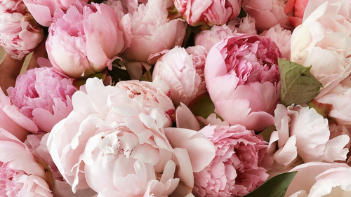 What Are Kim Kardashian's Favorite Flowers?