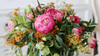 Peonies: Flower Meaning and Flower Types