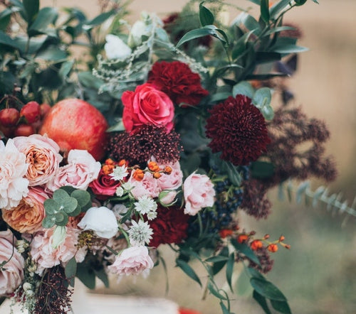 The Most Beautiful Flowers That Bloom in Autumn