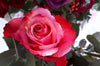 3 DIY Beauty Hacks That Involve Roses