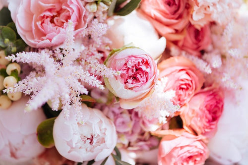 25 Types of Pink Flowers and Their Meaning