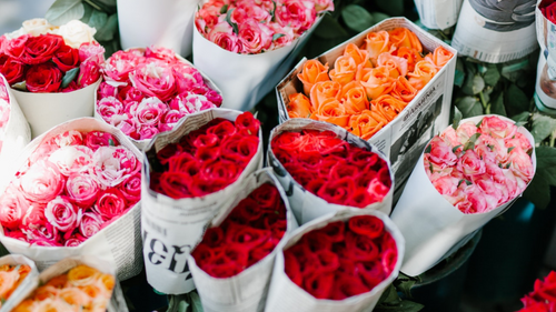 Secret Flower Meaning: How Many Roses Are in Your Bouquet? 