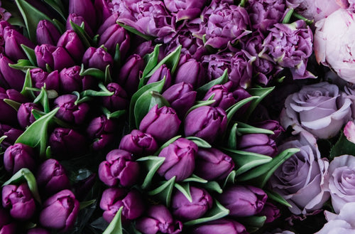 The Prettiest Types of Purple Flowers and Their Meaning