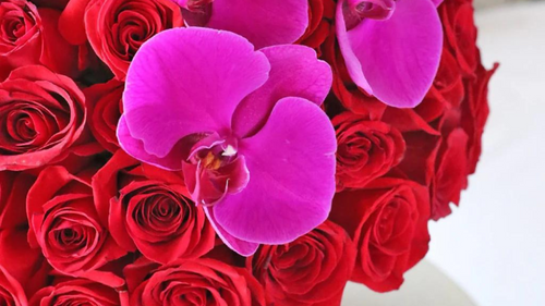 10 Best Blooms for Valentine's Day Flower Arrangements