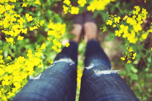 The Best and Worst Flowers for Anyone with Spring Allergy
