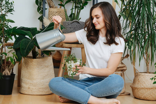 Young brunette watering houseplant