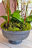 Sweet Sherman Oaks Orchids