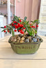 Red Lantern Bonsai