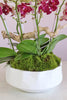 Amaranth Orchid Haven
