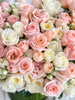 Champagne Blush